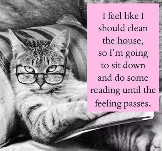 A cat with glasses is sitting reading a book