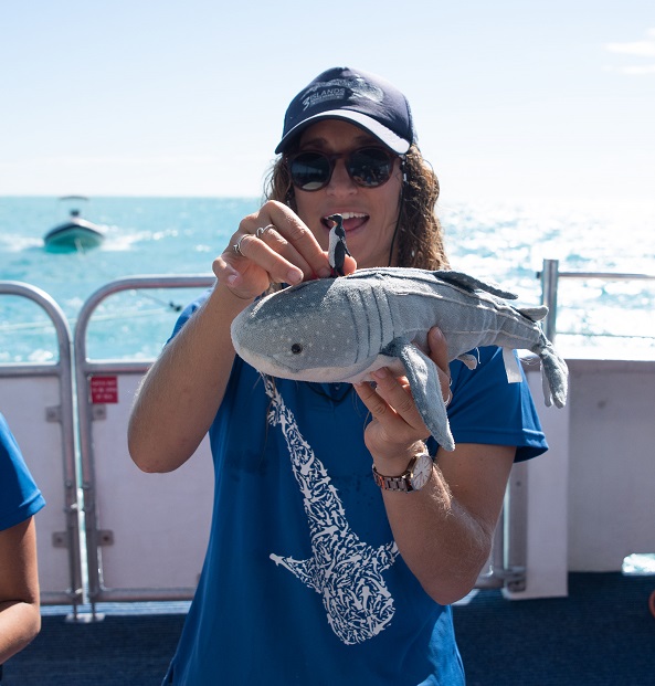 Learning to swim with whale sharks on Ningaloo Reef