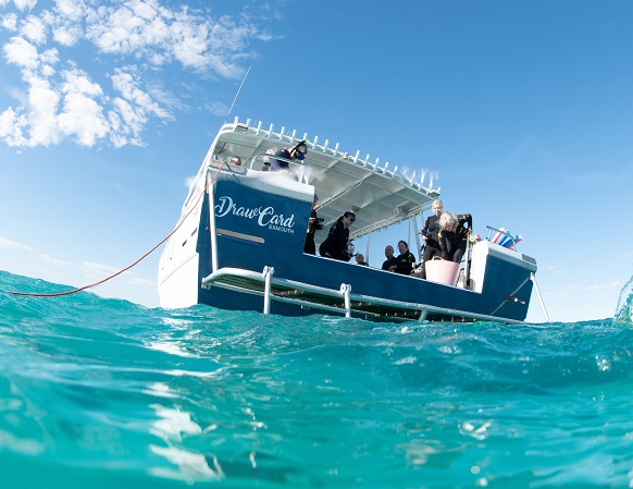 The Draw Card on Ningaloo Reef