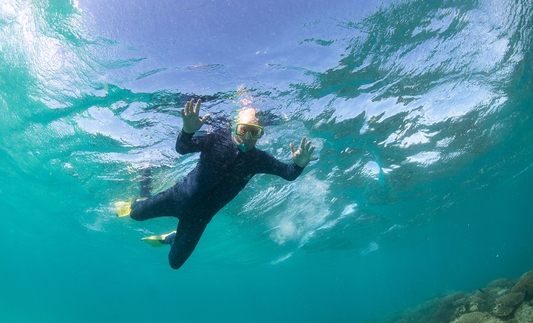 Snorkeling on Ningaloo Reef
