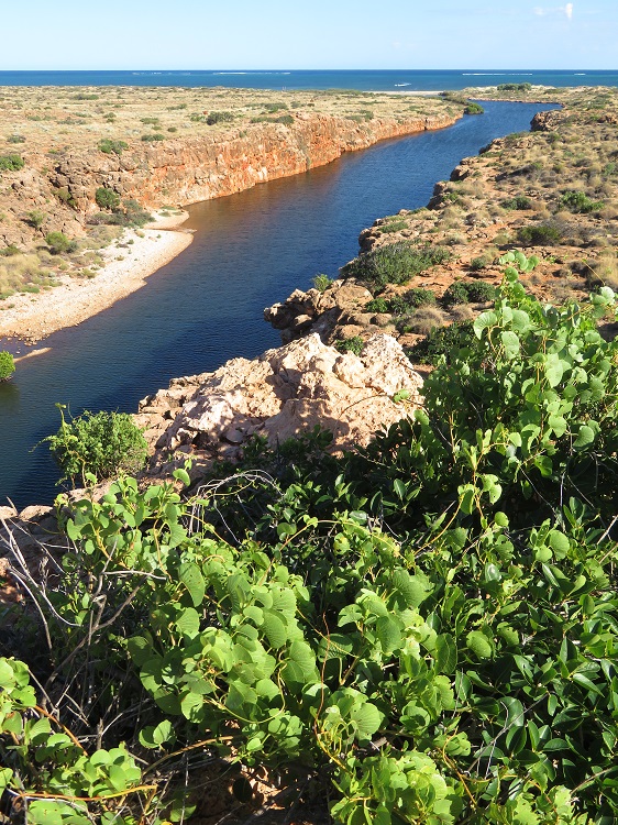 Yardie Creek, Exmouth, Western Australia