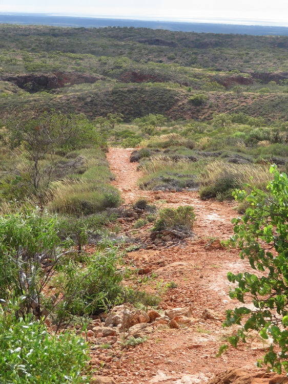 The Path to Shot Hole Canyon in Cape Range National Park