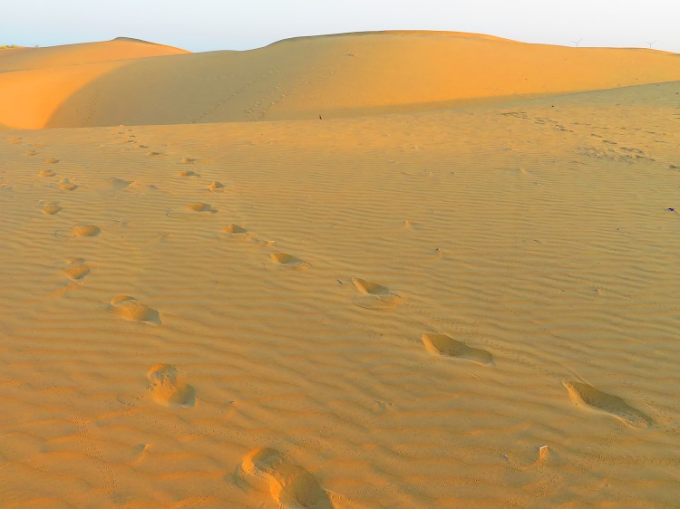Thar Desert, Rajasthan India
