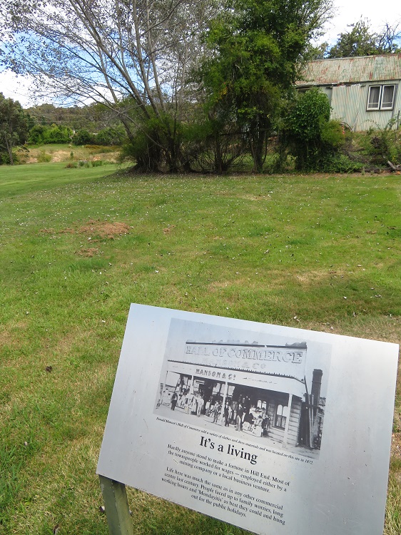 Holtermann Collection photograph and the almost vacant block behind