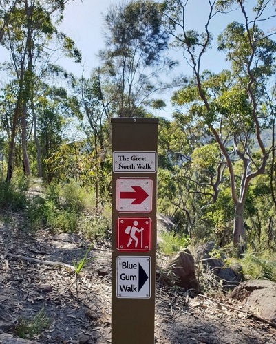 A section of the Great North Walk. Source: districtmums.com.au