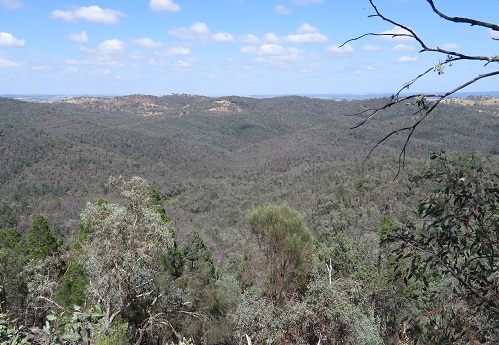 Mt Arthur Reserve - Wellington