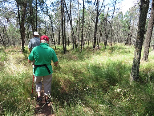 Mt Arthur Reserve - Wellington