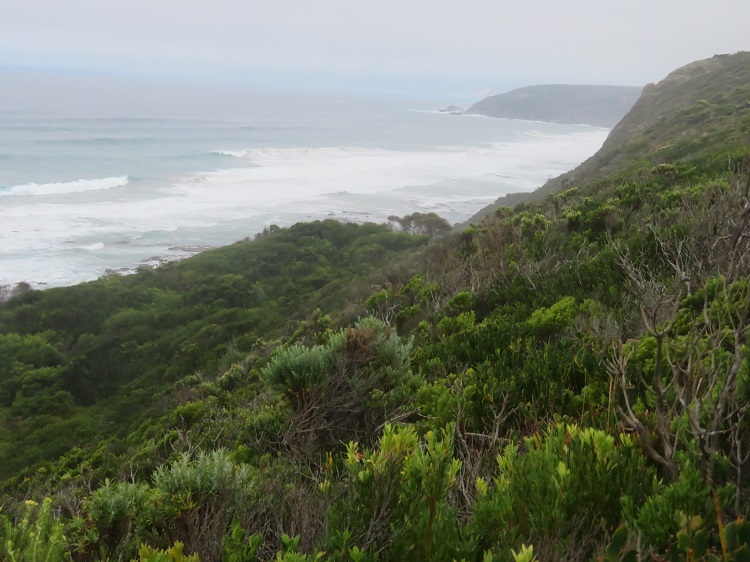 Ocean Views - Great Ocean Walk - Victoria