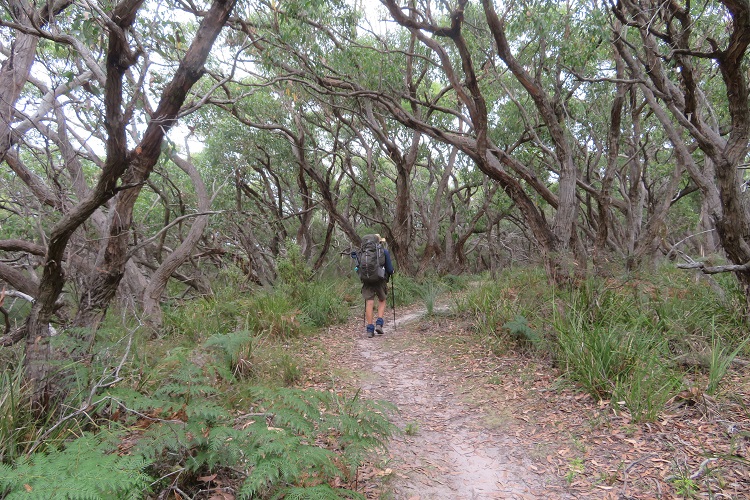 On the way to Johanna Beach - Great Ocean Walk - Victoria