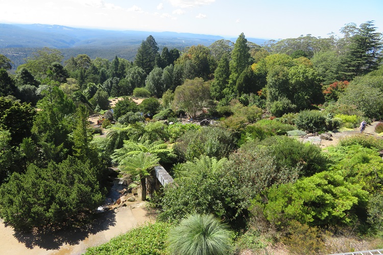 Mt Tomah Botanic Gardens in the Blue Mountains