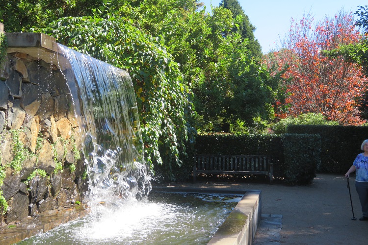 Mt Tomah Botanic Gardens in the Blue Mountains