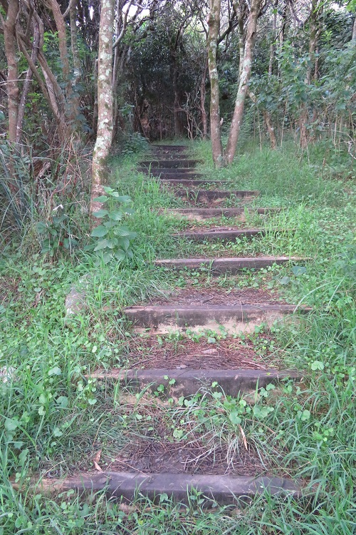 The Booti Hill Walk, Booti Booti National Park