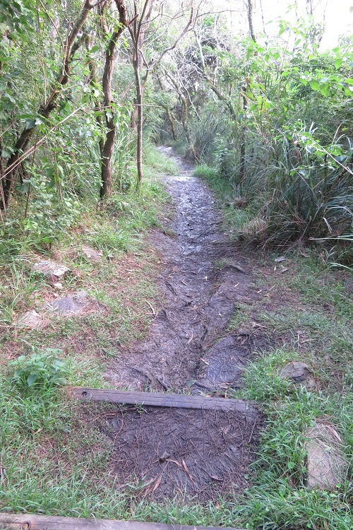 The Booti Hill Walk, Booti Booti National Park
