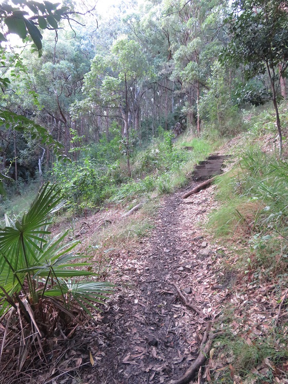 The Booti Hill Walk, Booti Booti National Park