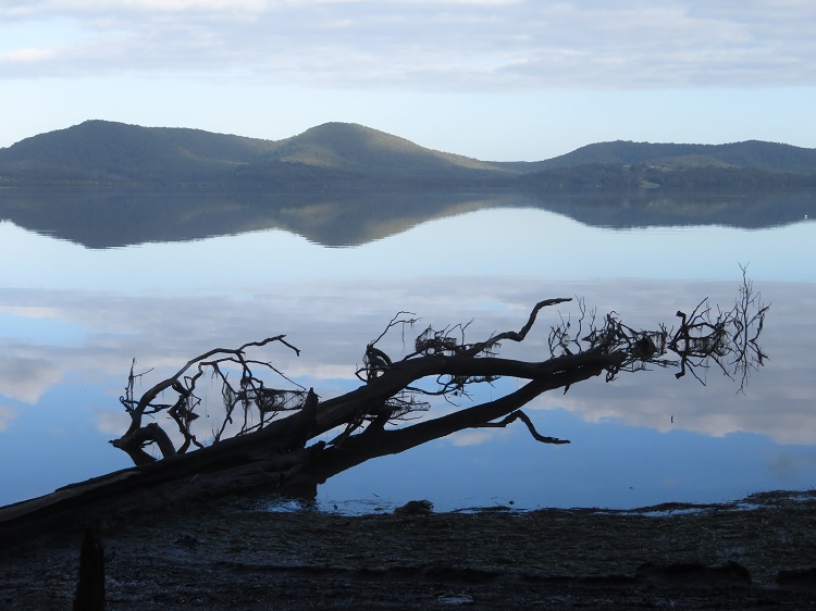 The Booti Hill Walk, Booti Booti National Park