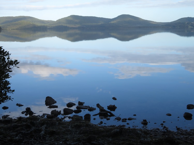 The Booti Hill Walk, Booti Booti National Park