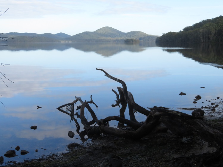 The Booti Hill Walk, Booti Booti National Park