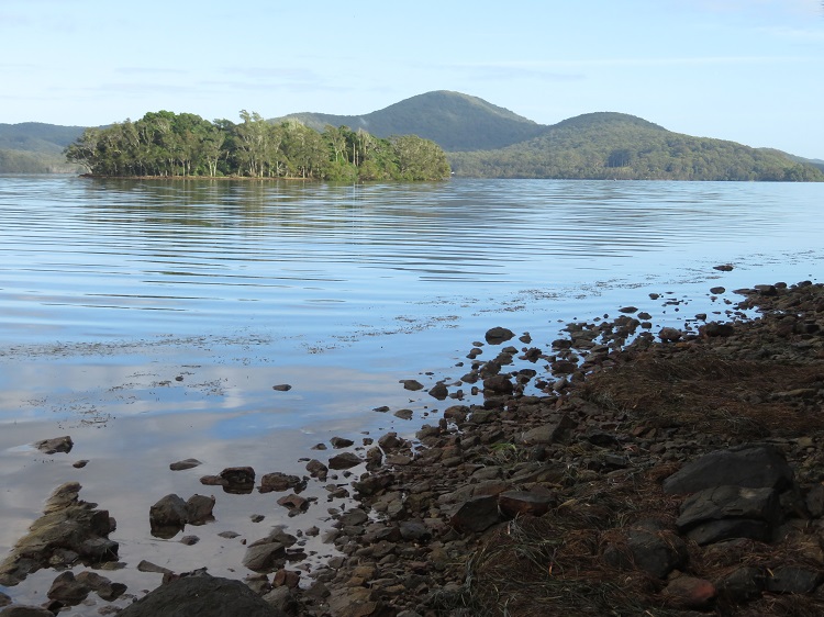 The Booti Hill Walk, Booti Booti National Park