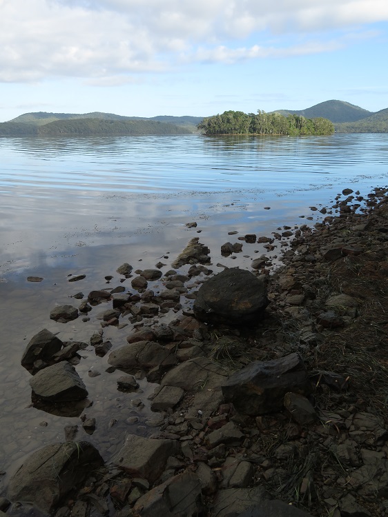 The Booti Hill Walk, Booti Booti National Park
