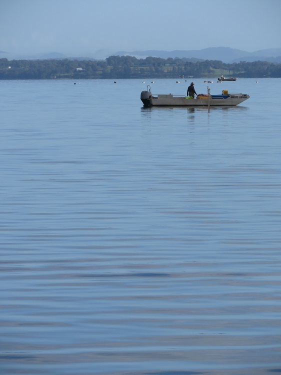 The Booti Hill Walk, Booti Booti National Park