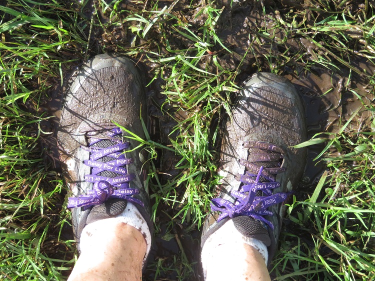 The Booti Hill Walk, Booti Booti National Park