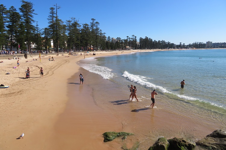 Manly Beach