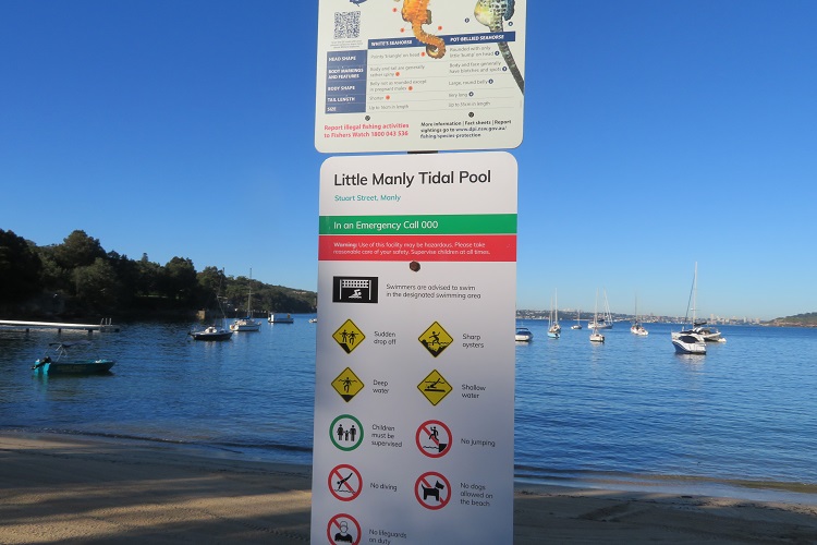 Little Manly Tidal Pool