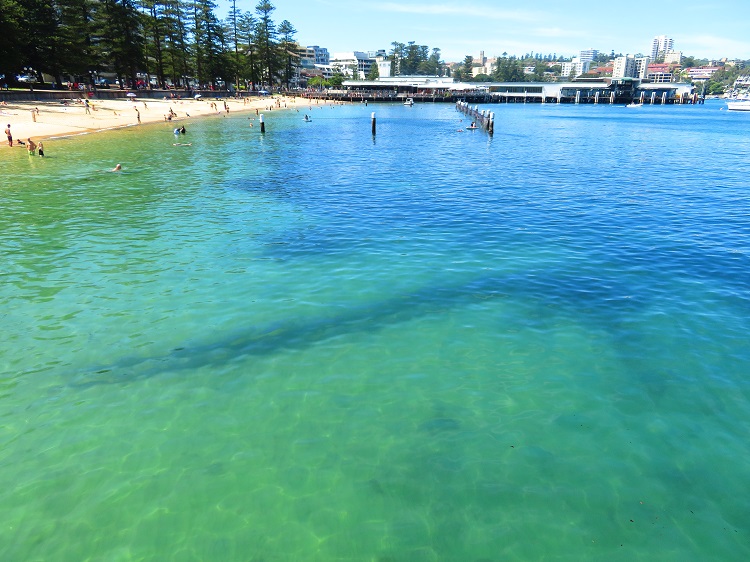Manly Cove West
