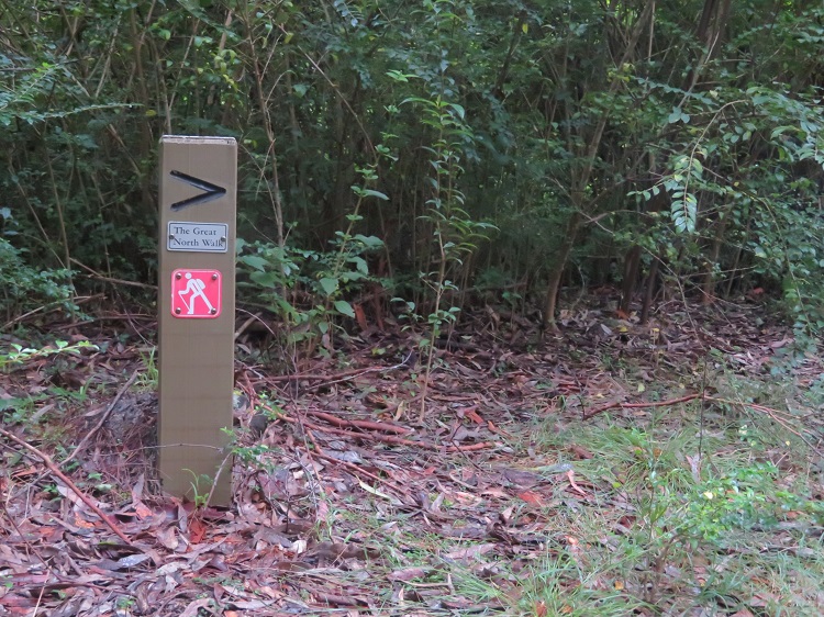 A sign on the Great North Walk