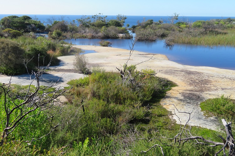 Hanging Swamp on North Head