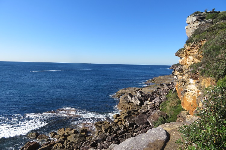 Blue water views off North Head