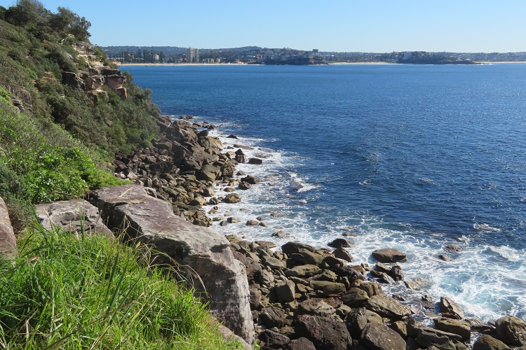 Blue water views off North Head