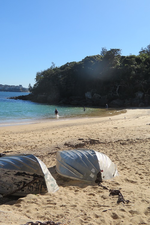 Picturesque Shelly Beach