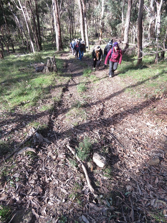 A stiff uphill walk to Blackman's Crown, Capertee