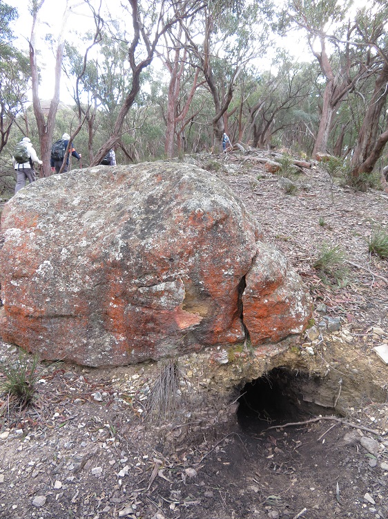 Wombat hole at Blackman's Crown, Capertee