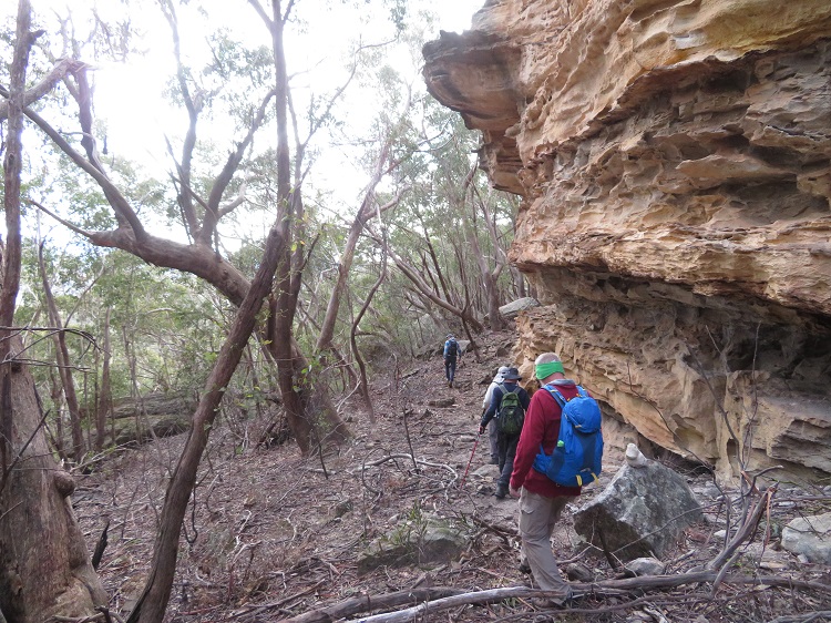 Sandstone rocks at Blackman's Crown, Capertee
