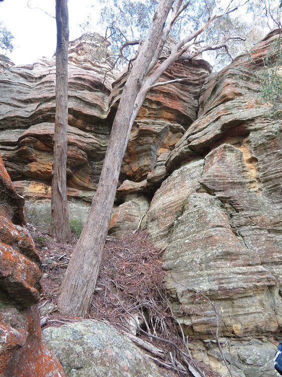 Sandstone rocks at Blackman's Crown, Capertee