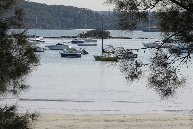 Stg 2 - Views between the trees