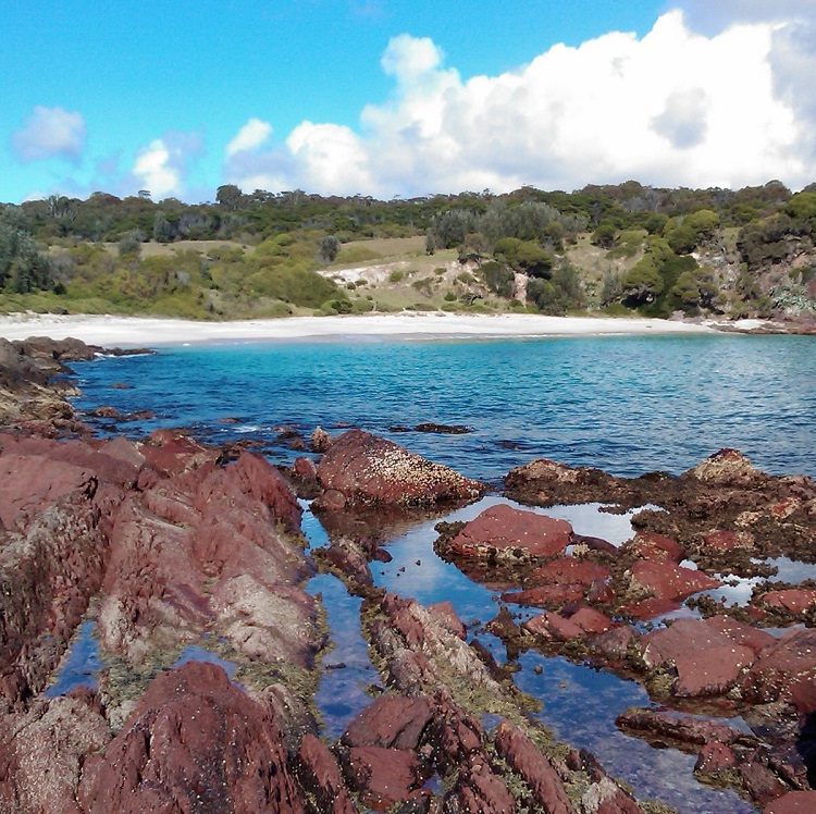 Waterviews. Light to Light Walk. Source:Tripadvisor