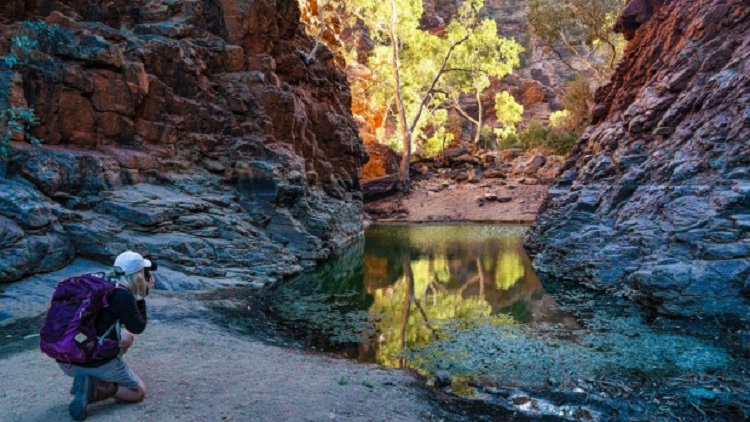Larapinta Trail. Source: traveller.com.au