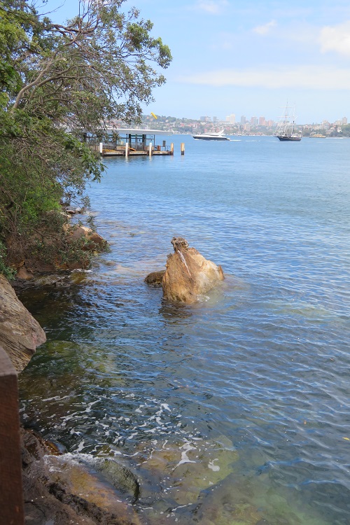 Stg 5 - Getting close to Taronga Zoo