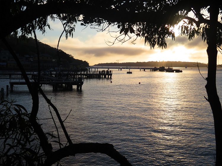 Stg 6 - sun rise at Chowder Bay