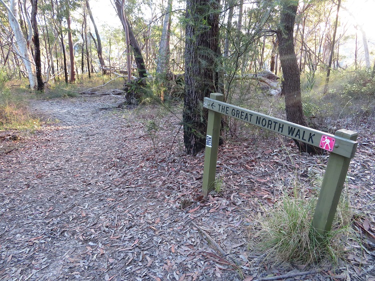Heading down a gully on the Great North Walk