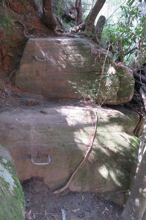 Metal rungs on the Great North Walk