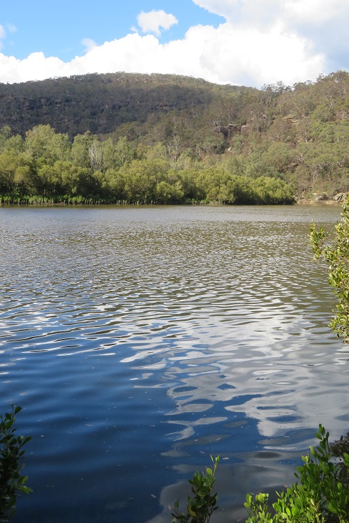 Waterviews on the Great North Walk