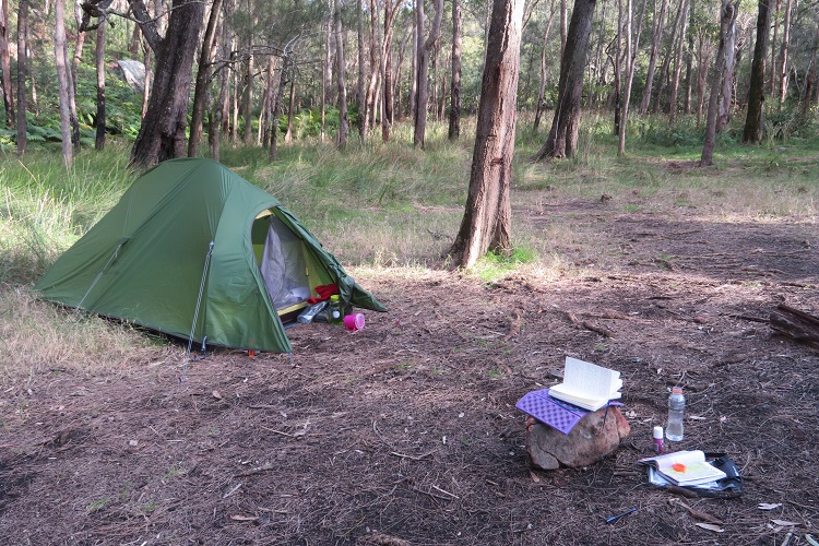 Calna Creek North Campground on the Great North Walk