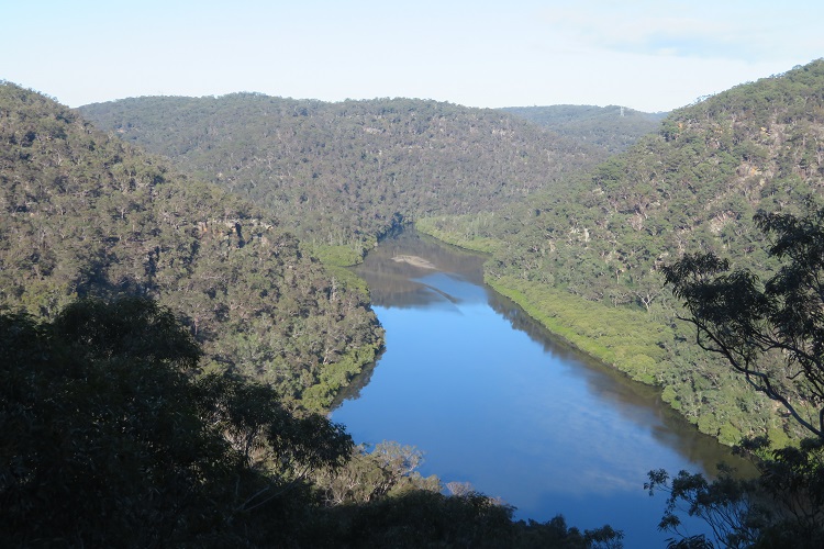 Looking down on Berowra Creek on the Great North Walk