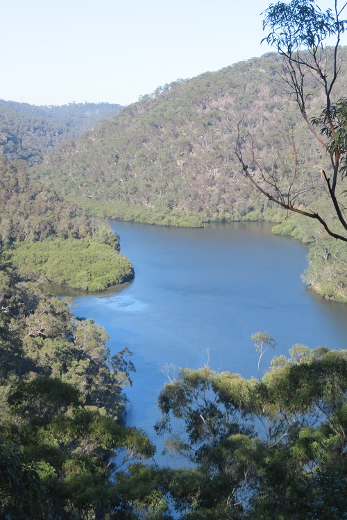 Water views on the Great North Walk
