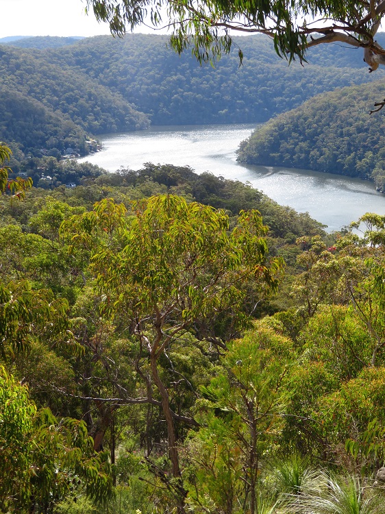Views from the top of the Ridge on the Great North Walk