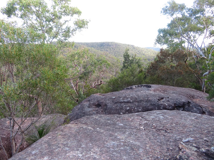 Views from the top on Day 5 of the Great North Walk